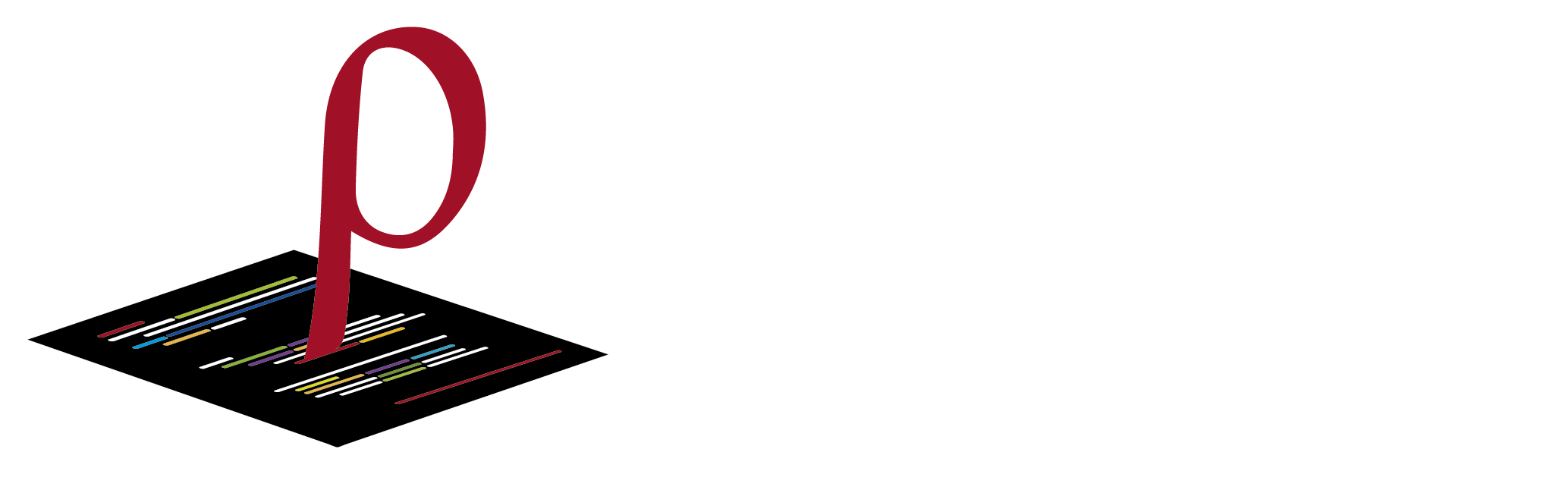 rhoStudio